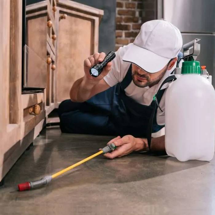 Pest control for your home