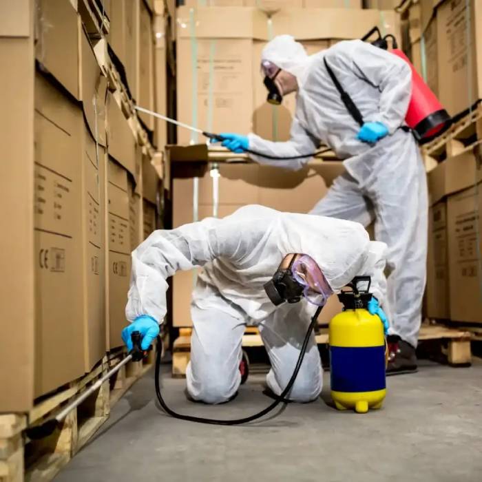 Best pest control to your workplace